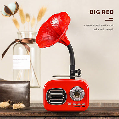 Bluetooth speaker phonograph