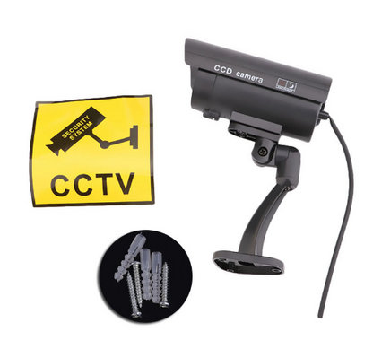 Surveillance camera CCD with light monitoring camera