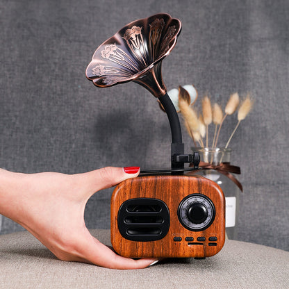 Bluetooth speaker phonograph