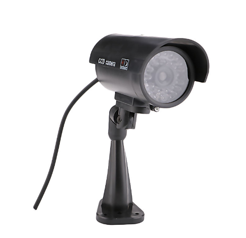 Surveillance camera CCD with light monitoring camera