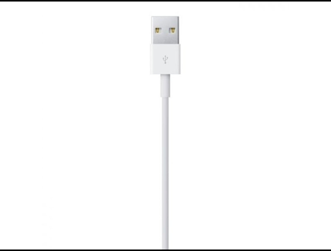 APPLE câble Lightning vers USB 2 Mètre sous blister